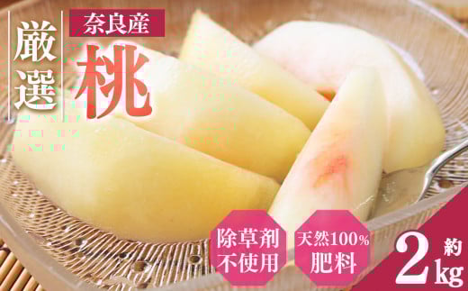 大和果樹園の桃 約 2kg | フルーツ 果物 くだもの 桃 もも ピーチ 甘い 産地直送 新鮮 とれたて やわらかい 果肉 果実 芳醇 おいしい ジューシー6月下旬 日川白鳳 7月上旬 八幡白鳳 夢しずく 7月中旬 みさか白鳳 あかつき 7月下旬 清水白桃 夏おとめ 8月初旬 川中島白桃 白麗 お中元 お供 除草剤不使用 不耕起草生栽培 天然肥料 100％ 大和果樹園 奈良県 五條市