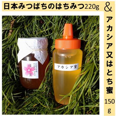 ふるさと納税 多賀城市 史都多賀城日本みつばちの蜂蜜220g・アカシア又はとち蜜150g