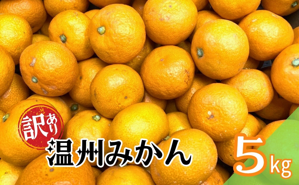 
            訳あり 温州みかん 5kg ご家庭用 人気 数量限定 先行予約 愛媛 みかん 柑橘 【2025年11月上旬以降発送】｜B149
          
