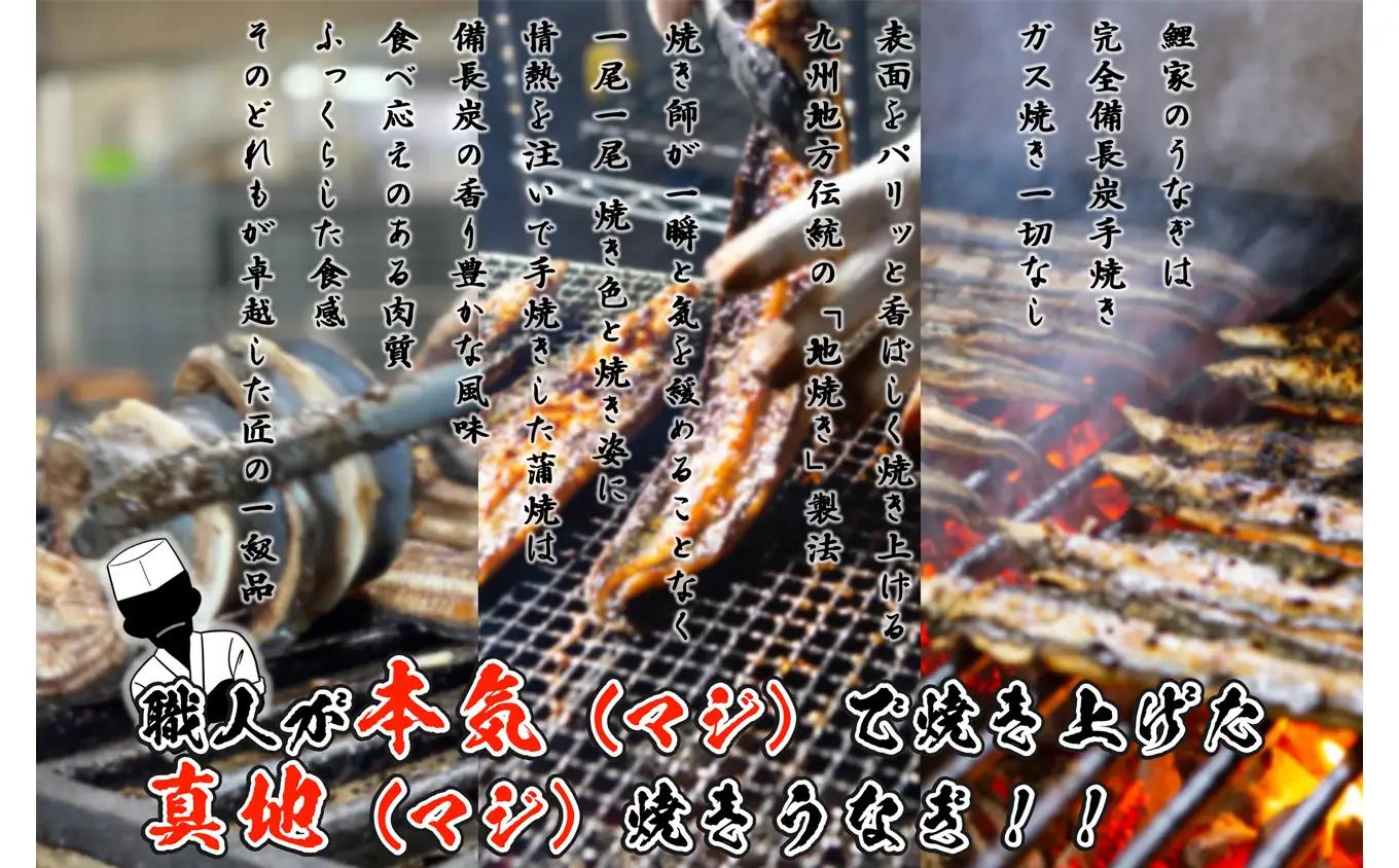  1716-2 大人気！鯉家の絶品蒲焼で作る「うな飯の素（4袋）」【国産・手焼き備長炭】 KN040-012-01 魚 鰻