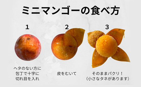 マンゴー 久米島赤鶏牧場 完熟！冷凍ミニマンゴー1kg（9～12玉） アーウィン