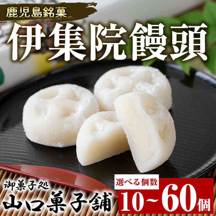 【ふるさと納税】＜選べる個数！＞伊集院饅頭(計10～60個) 伊集院銘菓 日置市 セット 和菓子 スイーツ 郷土菓子 お菓子 ギフト 贈答品 贈り物【山口菓子舗】