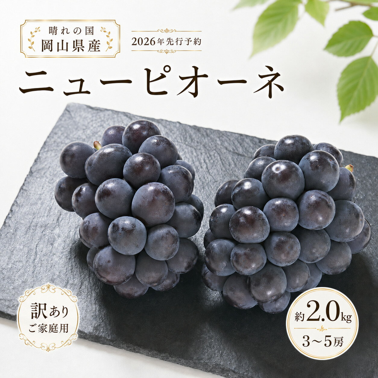 【ふるさと納税】ぶどう 2026年 先行予約 ご家庭用 ニュー ピオーネ 約2.0kg （3〜5房）ニューピオーネ ブドウ 葡萄 岡山県産 国産 フルーツ 果物 岡山県 瀬戸内市 お届け：2026年8月下旬〜2026年10月中旬