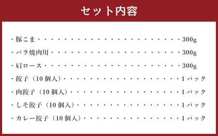 熊本県産 火の君ポーク® 詰め合わせ＋火の君ポーク® 使用 餃子セット