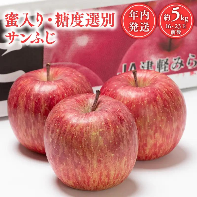 りんご  蜜入り 糖度選別サンふじ約5kg りんご