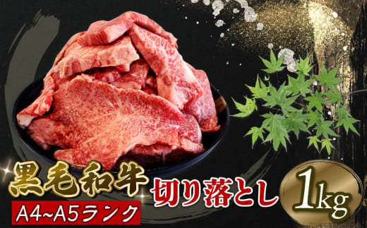 黒毛和牛 切り落とし 1kg A5等級 阿波華牛 和牛 牛肉 ぎゅうにく 牛 ぎゅう うし 肉 ビーフ 赤身 ロース 肩 モモ すき焼き すきやき しゃぶしゃぶ 焼肉 牛丼 カレー シチュー BBQ アウトドア キャンプ ギフト プレゼント 贈答 お取り寄せ グルメ おかず 惣菜 おつまみ 弁当 日用 冷凍 小分け 送料無料 徳島県 阿波市 肉の北海