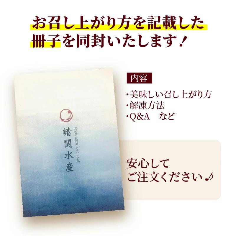 【冷蔵】【日向灘どれ】延岡産活〆ブリのお刺身400g～550g N019-YA2259_イメージ4