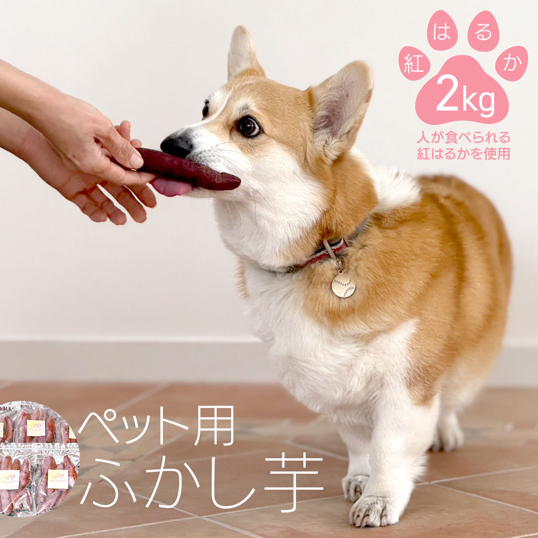 動物 ペットおやつ ペット用 ふかし芋 小芋 紅はるか 芋 いも おやつ 動物 ペットフード 犬 猫 間食 ヘルシー オヤツ 2kg [AU119ya]