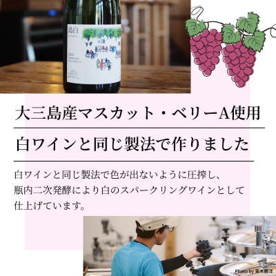 【数量限定】島白スパークリング《750ml》【V003320】【配送不可地域：離島】【1722958】