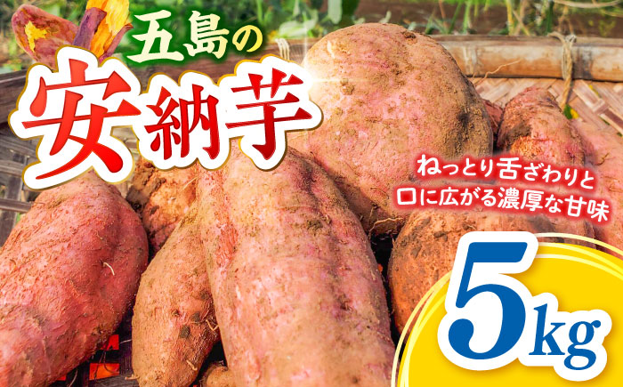【2026年11月より発送】潮風と火山灰土が育てた島さつまいも『安納芋』5kg 五島市/あわたに農園 [PGO006]
