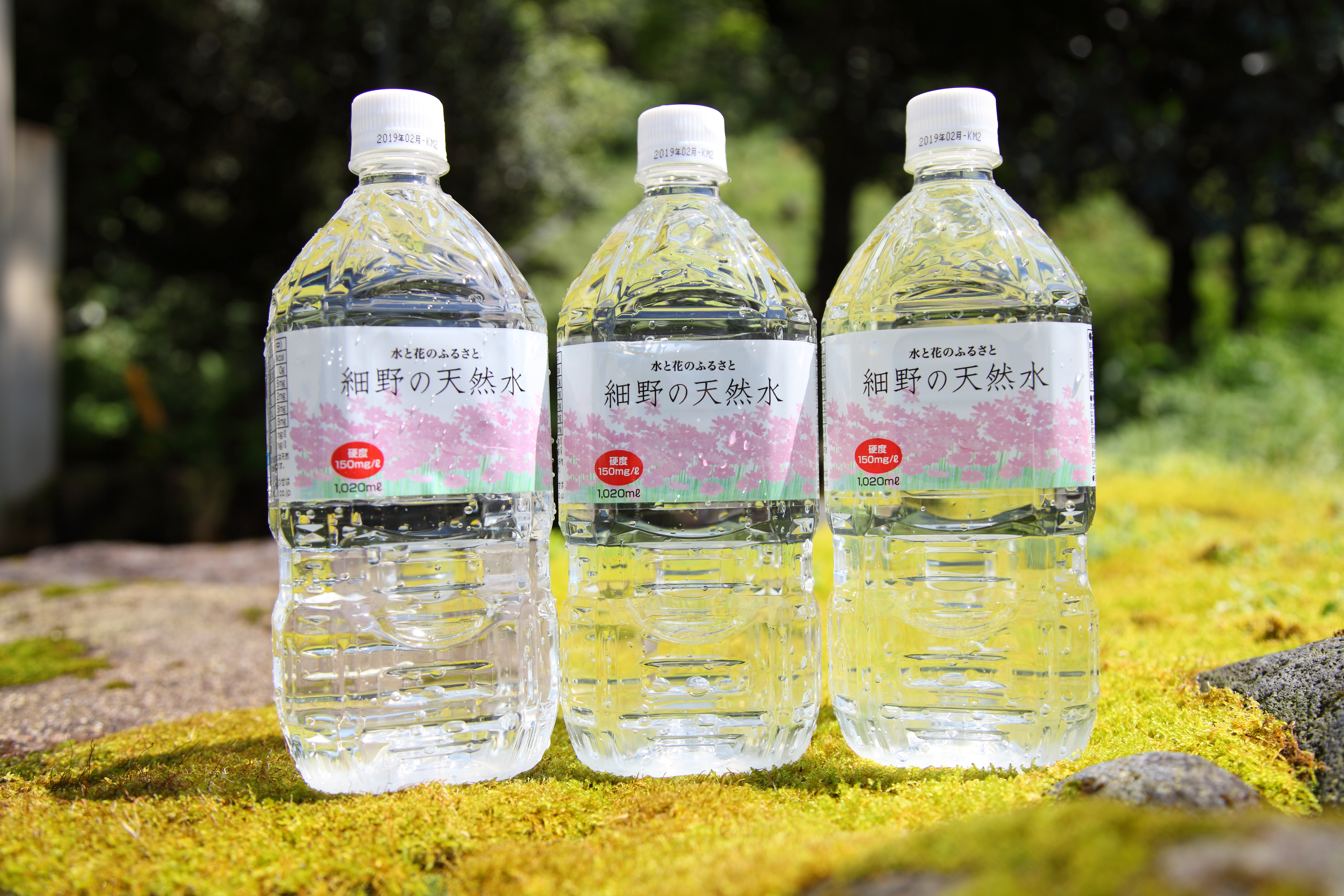 【定期便・霧島連山天然水 年12回】ミネラルたっぷり天然中硬水 細野の天然水1,020ml×12本×12回_イメージ2