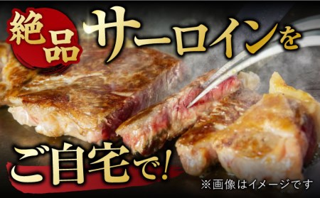 艶さし ！ 佐賀牛サーロインステーキセット 500g ( 250g ×2枚) 吉野ヶ里町 佐賀牛 牛肉 肉 サーロイン ステーキ 国産 ブランド牛[FDB010]