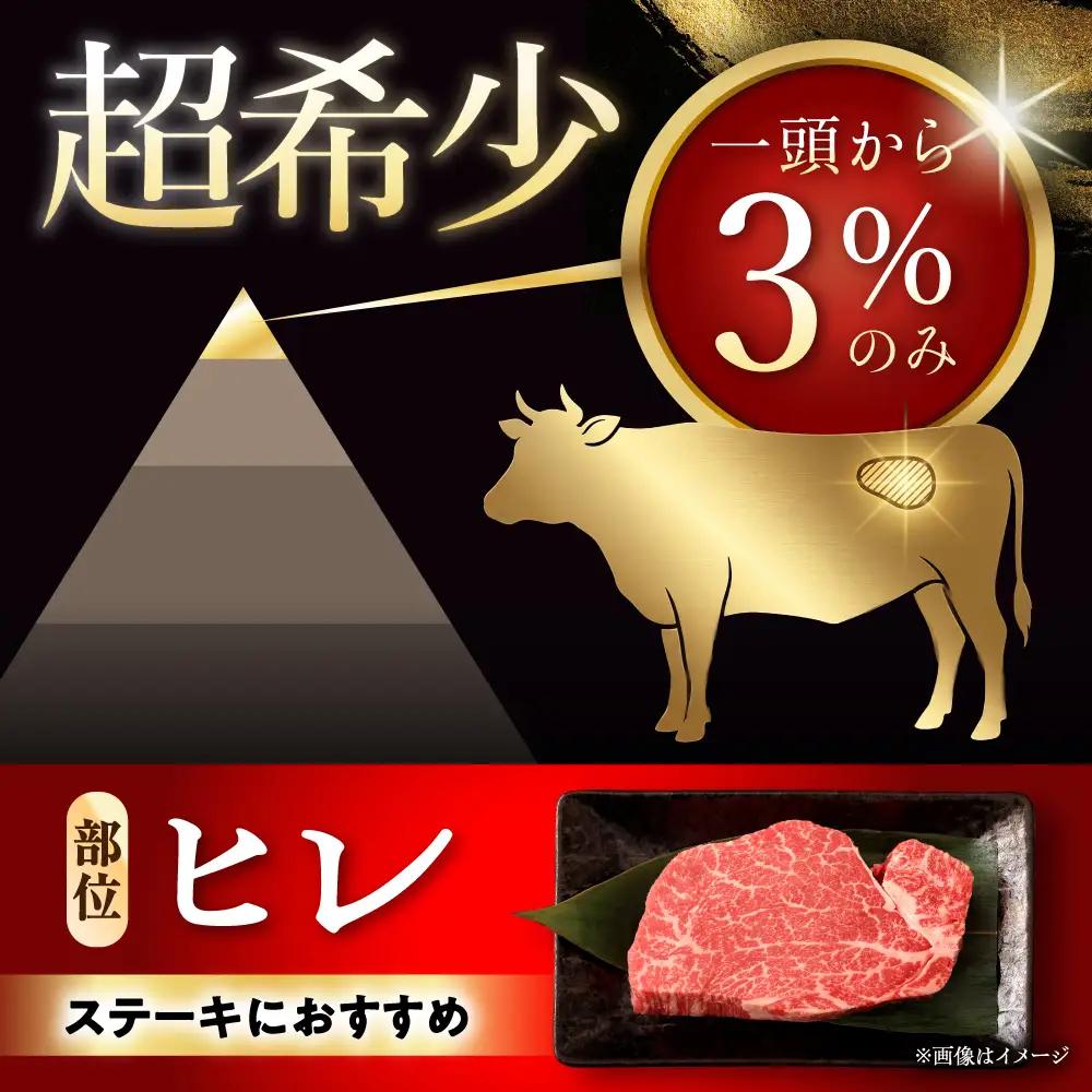 希少部位 瀬戸山麓牛 ヒレステーキ 500g(100g×5) / 牛肉 ヒレ ステーキ / 瀬戸市 /合資会社関屋精肉店[BBBQ057]
