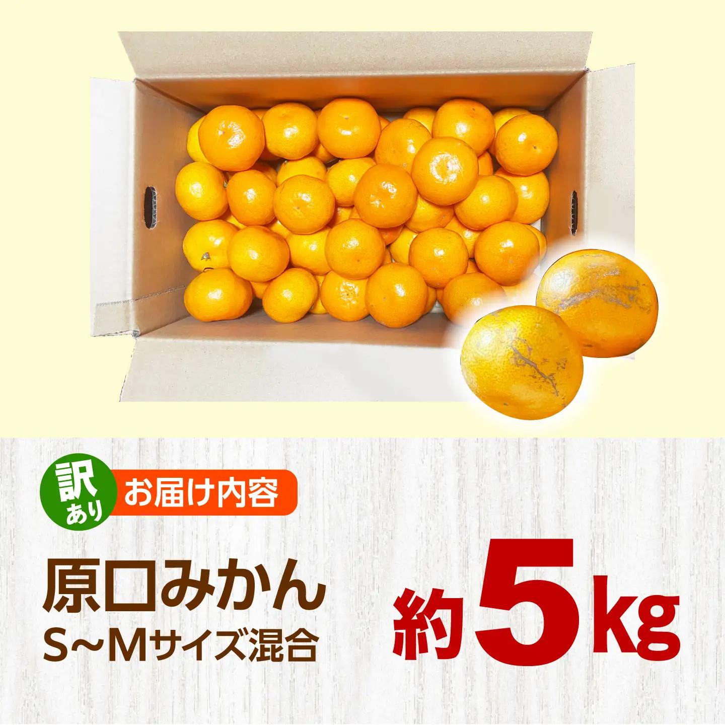 【数量限定】 【訳あり】 原口みかん 約5kg ＜田川農園＞[CGR002]
