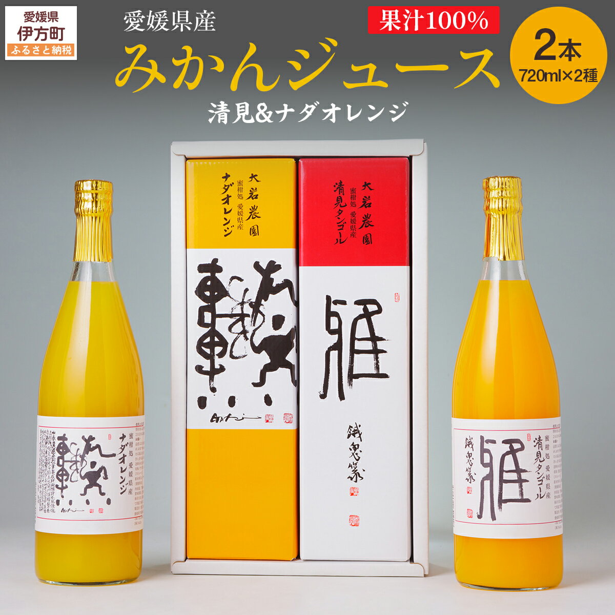【ふるさと納税】愛媛県産 果汁100％みかんジュース2本入りセット（清見・ナダオレンジ） 【 ふるさと納税 人気 おすすめ ランキング みかん ミカン 蜜柑 ジュース みかんジュース ミカンジュース 柑橘 愛媛県産 セット 清見 ナダオレンジ 愛媛県 伊方町 送料無料 】 IKTC011