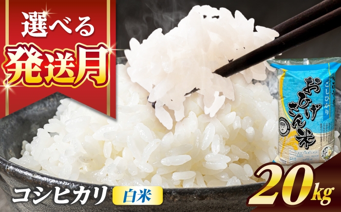 
                  米 【選べる発送月】 コシヒカリ 白米 20kg 米 お米 20kg 20キロ 白米 精米 コメ ご飯 ごはん 愛知県産 国産 県産米 国産米 コシヒカリ こしひかり 発送 時期 選べる 産地直送 大容量 令和7年 愛西市 / 脇野コンバイン [AECP023]
                