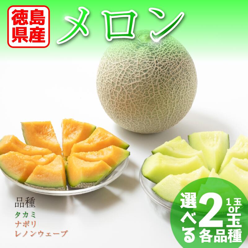 【ふるさと納税】 メロン 徳島県産 高地栽培 1玉 2玉 選べる品種 赤肉 緑肉 フルーツ 果物 旬 季節 厳選 高級 人気 デザート ギフト プレゼント 贈り物 贈答 送料無料 レノンウェーブ タカミ ナポリ 徳島県 三好市 みよし miyoshi 三好野呂内野菜生産加工組合