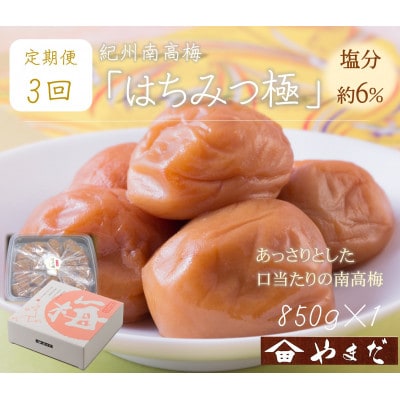 【3ヵ月毎定期便】紀州南高梅はちみつ極塩分約6%(850g)全3回