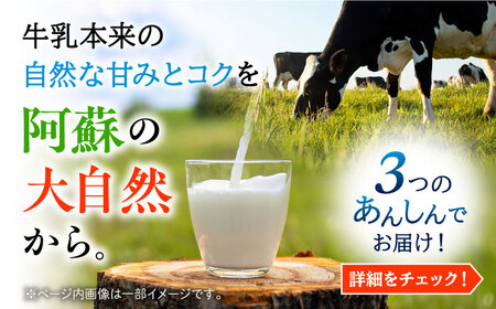 【全3回定期便】 大阿蘇牛乳 250ml （24本入り）牛乳 ミルク カルシウム 熊本県産 国産【合同会社 たべたせいか】[AYCB151]