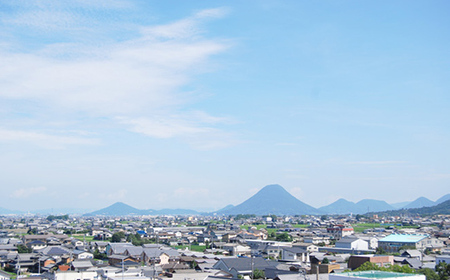 琴平パークホテル宿泊券 1名様 1泊朝食付き 宿泊券 旅行券 ビジネス ホテル 大浴場 展望浴場 旅行 温泉旅行 家族旅行 シングル 旅行チケット チケット レジャー 四国 F5J-428