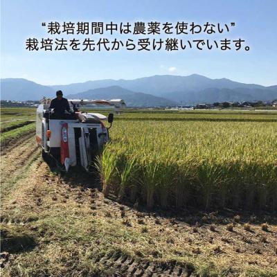 ふるさと納税 糸島市 栽培期間中 農薬不使用のお米 ヒノヒカリ 5kg 糸島市 シーブ [AHC005] |  | 01