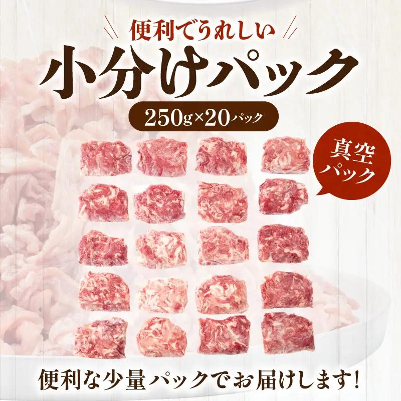 豚肉 宮崎県産 切り落とし 5kg 豚肉[250g×20P]