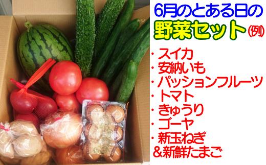 ３か月 定期便 ・ 種子島 の 新鮮  野菜 と 果物 ７〜１０品 と 鶏卵 セット　NFN475【975pt】