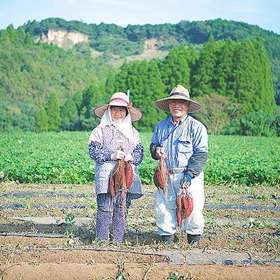 ふるさと納税 豊後大野市 大分県産VEGEMARI野菜パウダー  離乳食セット |  | 01