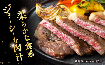 【訳あり】【3回定期便】長崎和牛ロースステーキ（ハーフカット）計500g（4枚）×3回定期便＜スーパーウエスト＞ [CAG205]