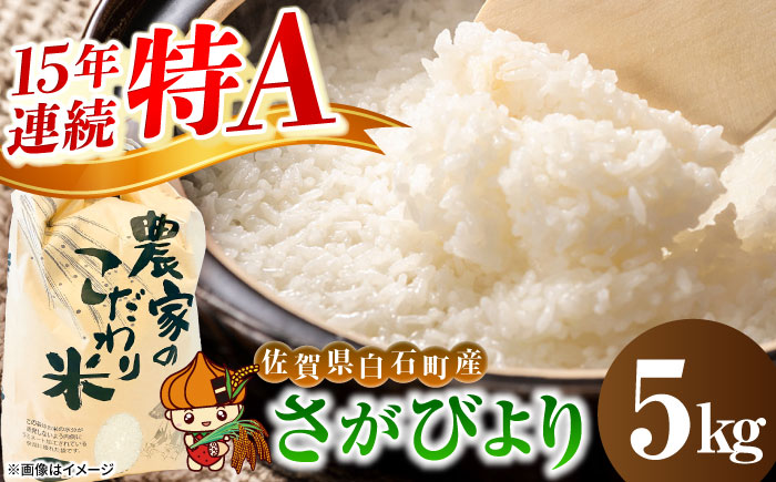 【令和7年産】さがびより（白米） 5kg 【かわさきいちご】  令和8年発送[IBG018]