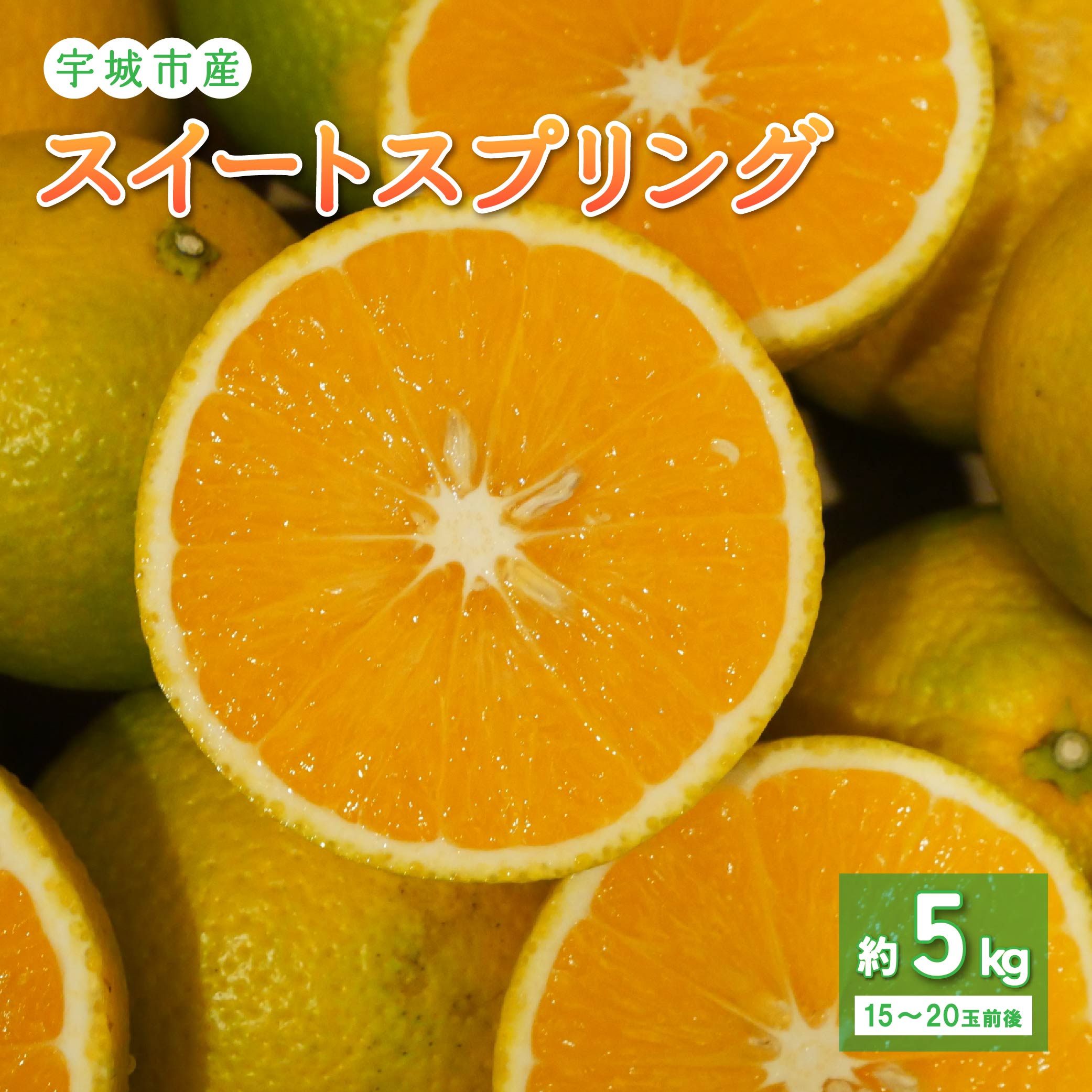 【ふるさと納税】先行予約 宇城市産 スイートスプリング 約5kg のむちゃん農園 15〜20玉前後 柑橘 フルーツ 果物 くだもの 熊本県産 九州産 国産 送料無料 【2025年11月下旬-2026年2月下旬発送予定】