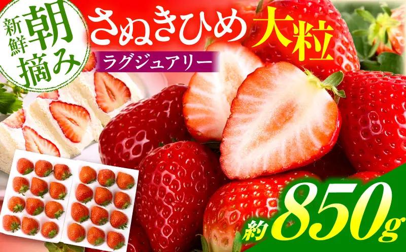 【先行予約】苺音ラグジュアリー～冬の大粒さぬきひめいちご～　約850g | スイーツ いちご イチゴ ストロベリー さぬきひめ さぬき姫 苺 冷蔵 フルーツ 旬 果物 香川県 デザート 青果物 おすすめ |_mk137-002
