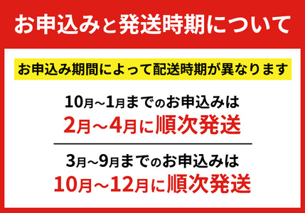 行者にんにく 苗根 100本（4年～5年物） ｜ にんにく ニンニク ガーリック 家庭菜園 栽培 野菜苗 野菜 薬味 料理 産地直送 那須 栃木県 那須町〔E-56〕