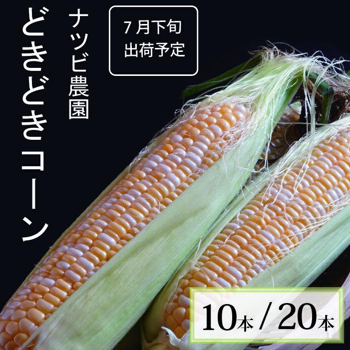 【ふるさと納税】ナツビ農園『どきどきコーン』10本セット（約4.5kg）/ 20本セット（約9kg）2025年夏分のご予約受付開始！　信濃町名産とうもろこし／白と黄色のバイカラー品種、予約受付中！ 令和7年7月下旬～8月下旬に随時出荷【長野県信濃町】