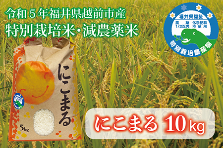 【令和6年産・新米】 福井県越前市産にこまる　福井県特別栽培米　10kg