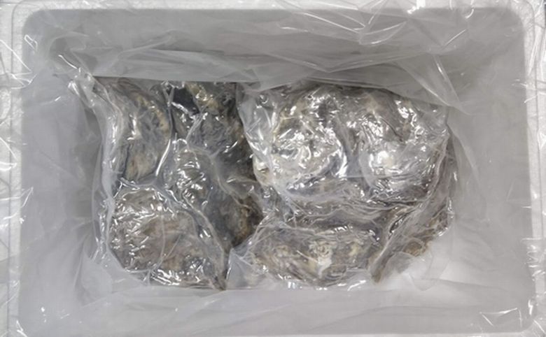 ＜12月21日決済分まで年内配送＞殻付き牡蠣の酒蒸し10個入 A-57065