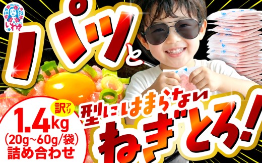 【2027年1月発送】ネギトロ 不揃い 使い切り パック詰め合わせ 1.4kg まぐろ 鮪 ネギトロ ねぎとろ まぐろたたき まぐろのたたき マグロたたき ふるさと納税ネギトロ 訳あり ネギとろ ねぎトロ maguro ネギトロ本物 ネギトロあっさり ネギトロ小分け 人気ネギトロ ネギトロランキング 山菱水産 福島県 いわき市 まぐろたたき
