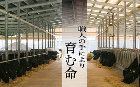 鹿児島県産 黒毛和牛 特撰 ロース スライス肉 300g（2～3人前）A4等級以上！すき焼き用 牛肉 冷凍 国産 鹿児島県産 黒毛和牛 すき焼き用 ロース肉 薄切り 【A-1154H】