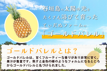 【6月中旬以降発送予定】最高級パイン ゴールドバレル2~3玉セット【 沖縄 石垣 パイナップル パイン ゴールド バレル 高級 セット 】TD-1