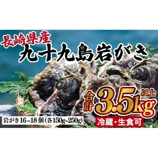 かき【 岩牡蠣 】九十九島岩かき 産地直送 生食可 A162 