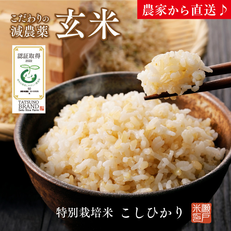 天竜ほたる米【玄米】5㎏　発送用段ボールから取り出して、紙袋のまま涼しい所で保存してください。