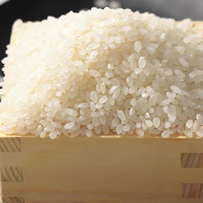 ふるさと納税 大潟村 【毎月定期便】あきたこまち 白米 5kg全9回 |  | 01