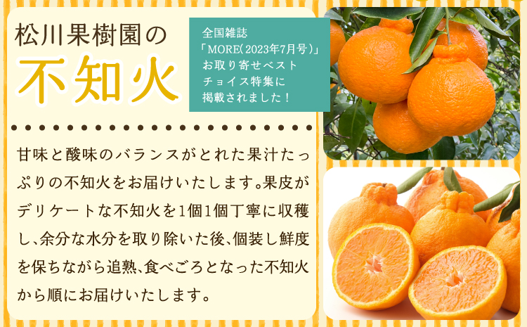 先行予約 雑誌 MORE 掲載商品 不知火 訳あり品 9kg 約30〜40玉 【2027年3月上旬から５月中旬発送予定】 しらぬい わけあり 柑橘類 みかん ミカン 蜜柑  果物 くだもの フルーツ 