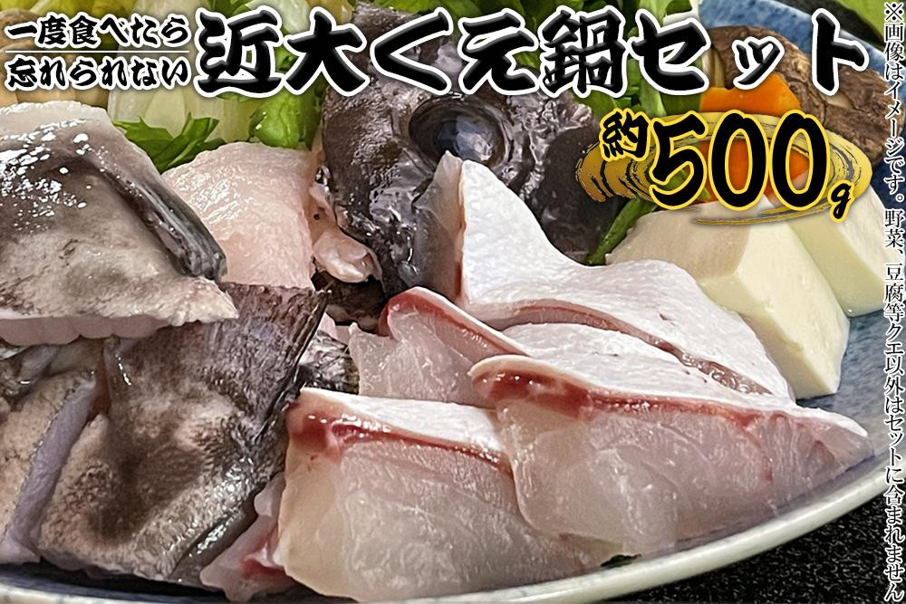 
近大くえ鍋セット ( 500g ）こだわりだしぽん酢付き【2024年11月中旬～12月中旬発送】
