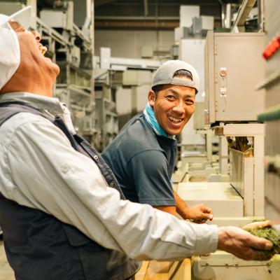 ふるさと納税 牧之原市 ぼうじ一番茶100g×4袋 060-6 |  | 03