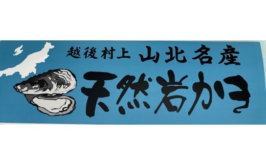 【期間限定】新鮮！笹川流れ『天然岩牡蠣』 Mサイズ 約1kgセット（1個 約140g×7個） 1043002