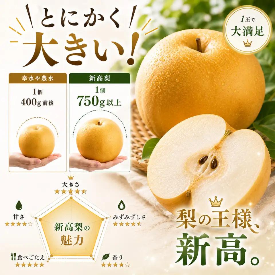 ≪訳あり品≫新高梨 4～6玉 （約 4kg）【常温】【10月中旬～10月下旬発送】2026年秋発送