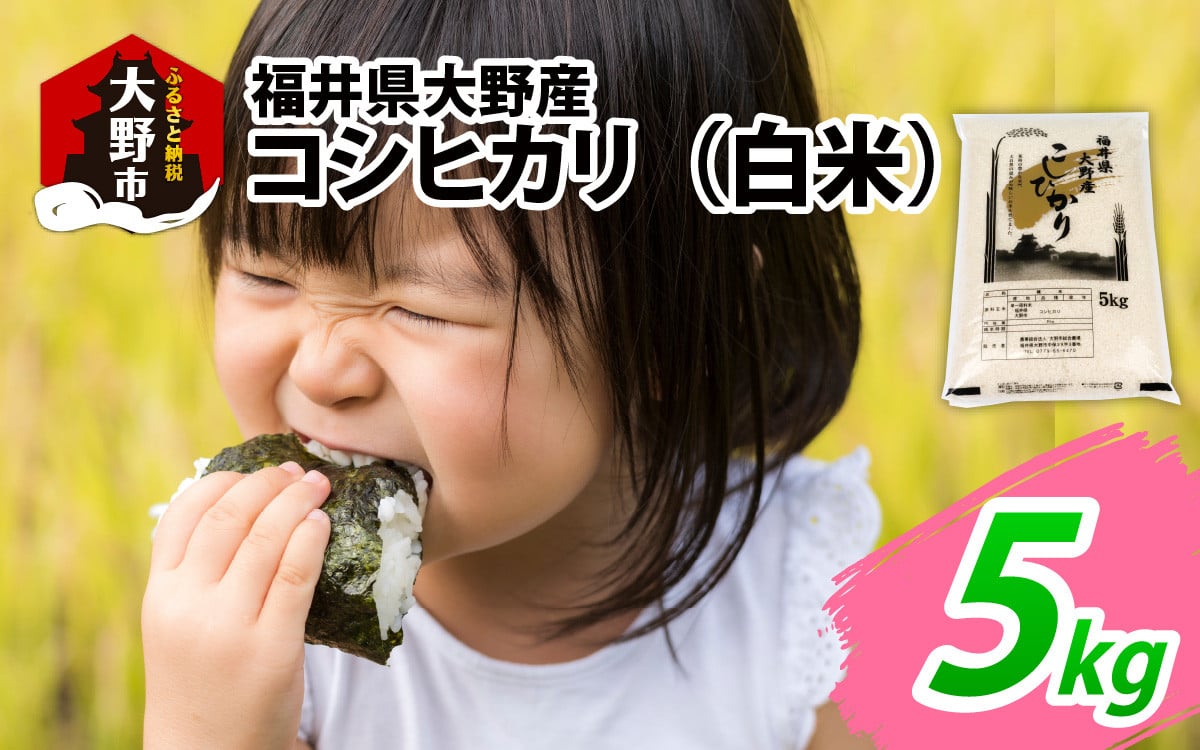 
                  【先行予約】【令和7年産】福井県大野産コシヒカリ（白米）5kg
                
