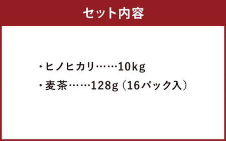 【柳川のお米】 令和6年産 ヒノヒカリ 10kg と 麦茶 16P セット 白米 お茶 パック