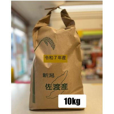 ふるさと納税 佐渡市 令和7年度産　佐渡山間地 戸田さんちの  健康に配慮して作ったコシヒカリ10Kg(精米)